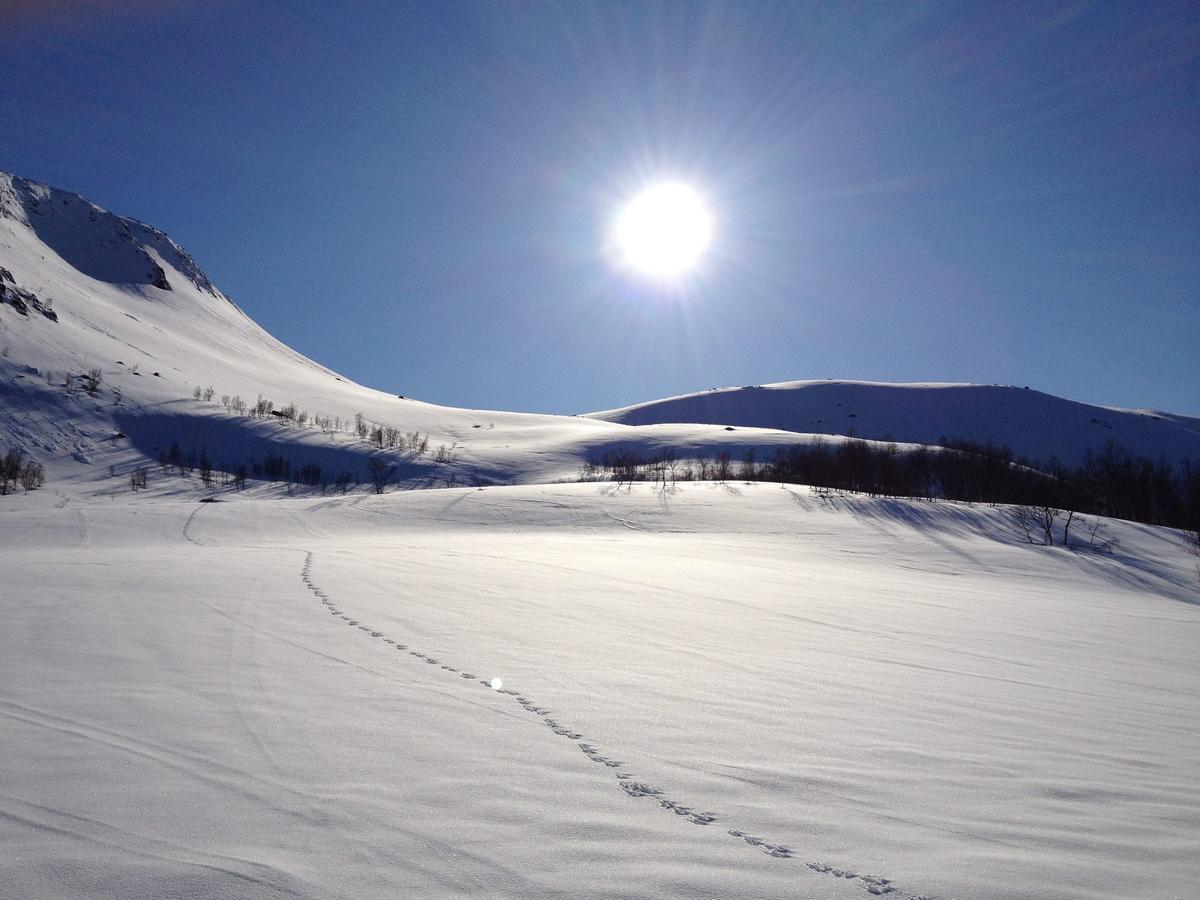 Eidsdal Camping Og Feriehus ภายนอก รูปภาพ